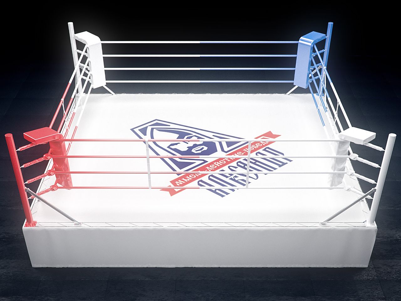 Боксерский ринг с логотипом клуба «Александр» в центре